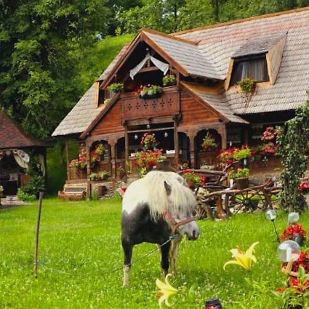 Pensiunea Rustic Oncesti Bagian luar foto