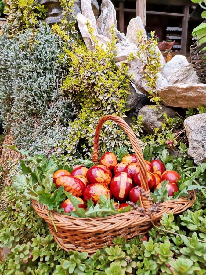 Pensiunea Rustic Oncesti Bagian luar foto