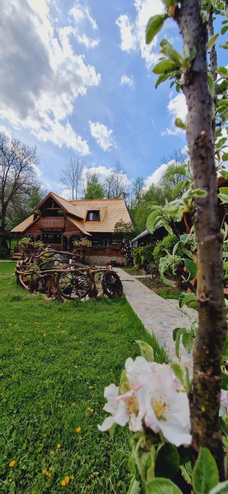 Pensiunea Rustic Oncesti Bagian luar foto