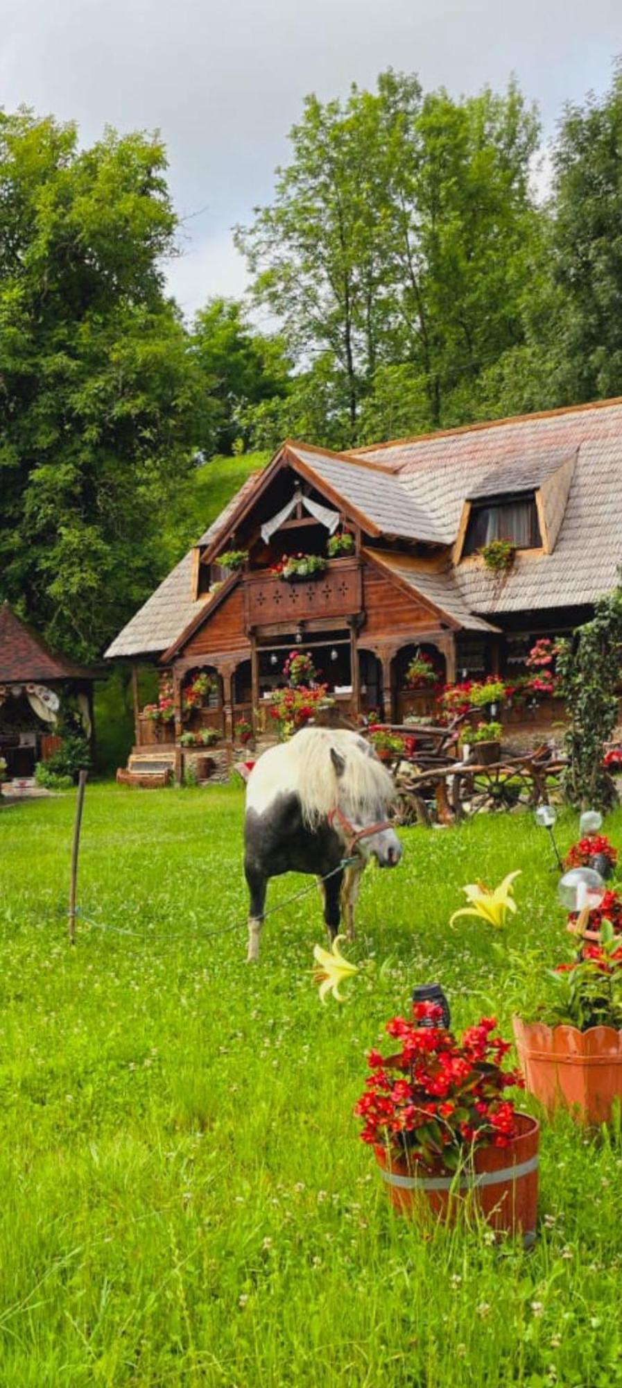 Pensiunea Rustic Oncesti Bagian luar foto