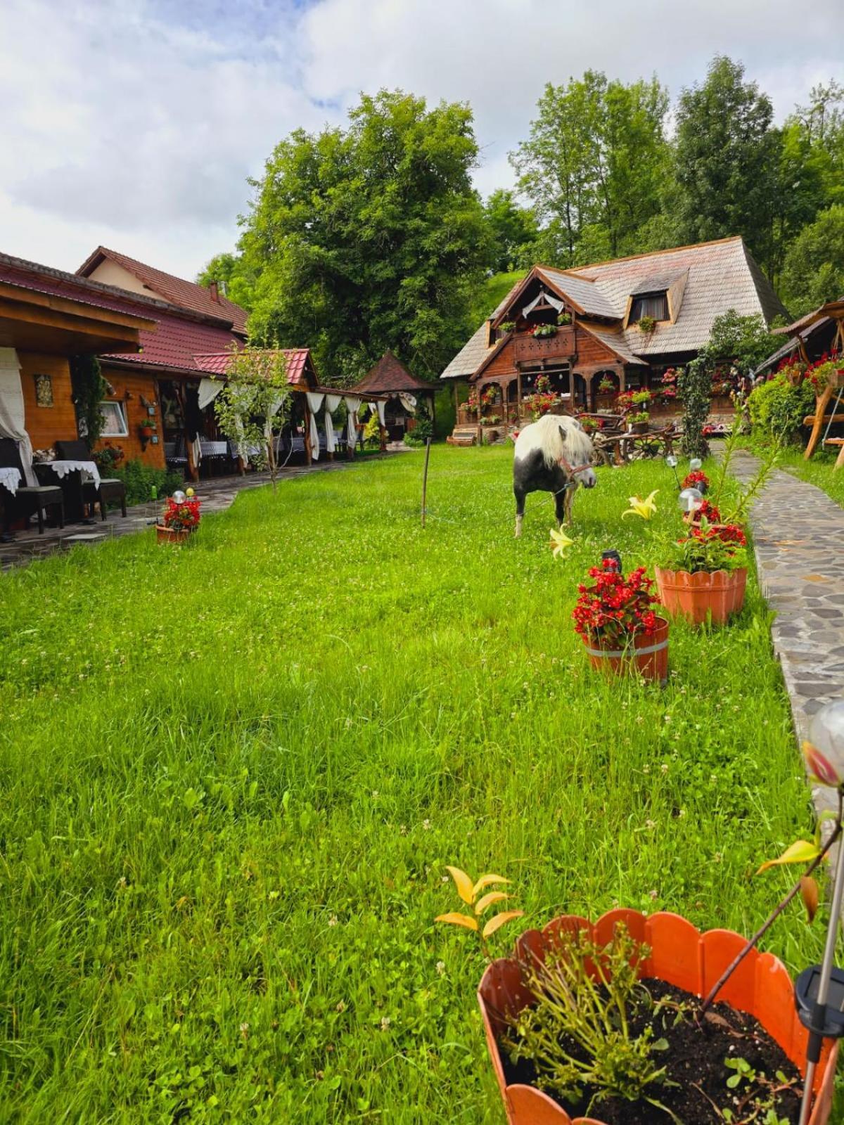 Pensiunea Rustic Oncesti Bagian luar foto